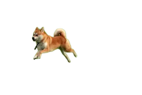 পোষা প্রাণী background removed